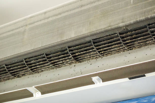 Ductwork Cleaning Services in Atoka, NM